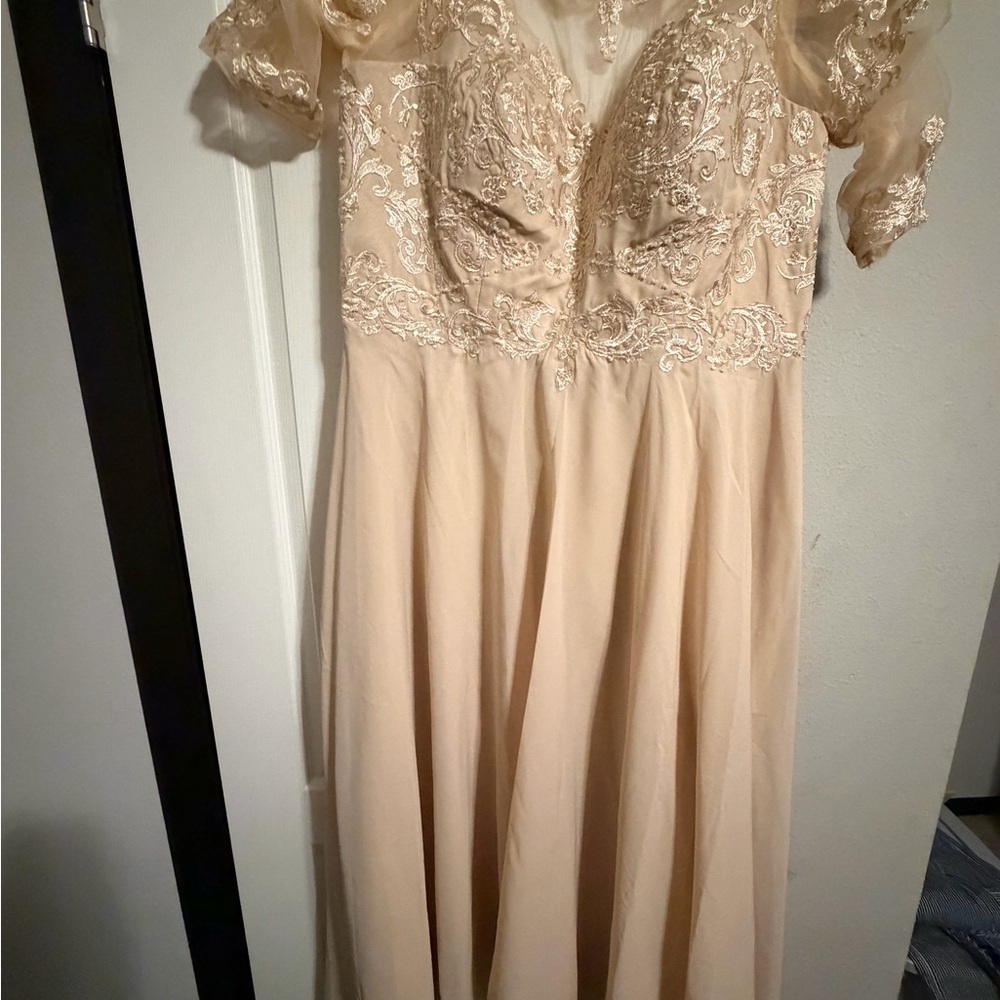Elegant Lace Embroidered Dress